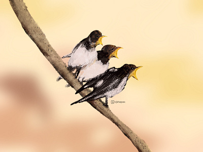 Birds - Illustration art artist birds designer digital illustration digitalart drawing dribbble illustration illustrator learning nature art photoshop art quick art sketch wildlife