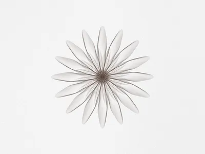 Fleur adobe illustrator blend tool cosmetic packaging creative design delightful fine art flower illustration graphic design illustration line art natural cosmetics naturalistic package design perfumes vector