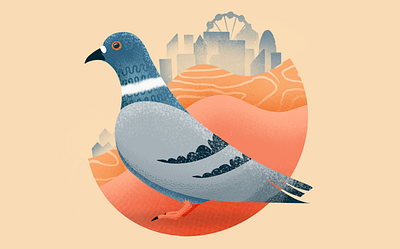 Cockney rebel bird birds city illustrated illustration pigeon