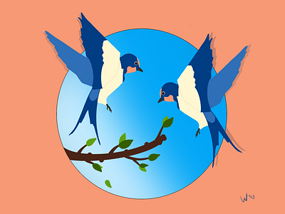 Swallows art drawing pic procreate swallows