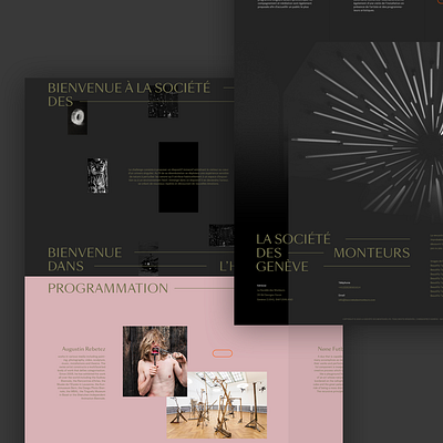 La Société des Monteurs art art direction artwork landing page landing page design ui webdesign