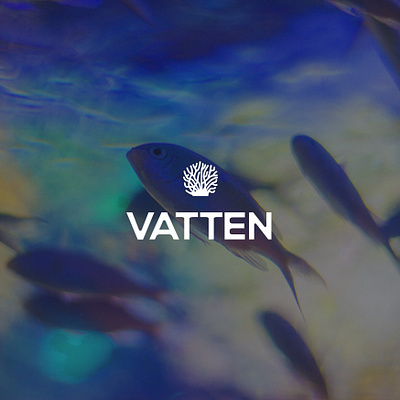 Vatten | Logo aquatic brand identity brandidentity branding coral customtype fish graphicdesign logo design logodesigner logotype oceans sea sealife typogaphy visual branding water