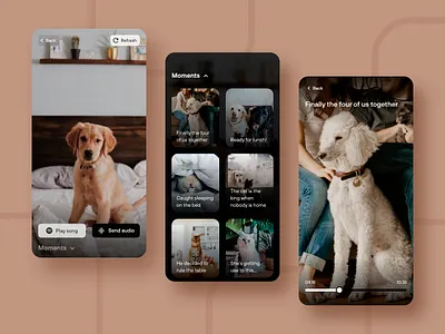 Pet Camera App app audio background blur blur camera interface live memories mobile pet pets transmission ui uidesign vide
