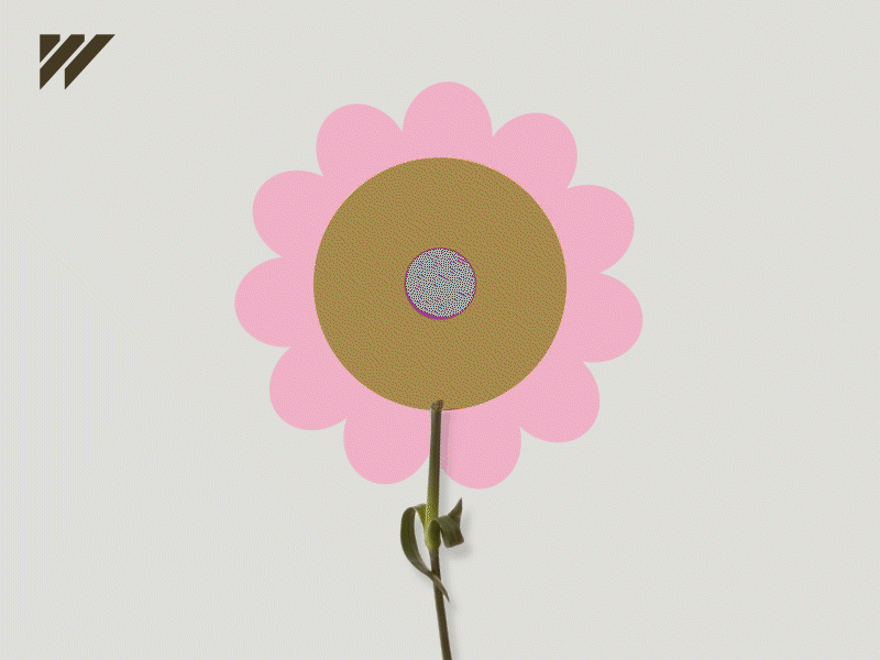 Hello Sunshine everydaygif good morning singapore wild studio