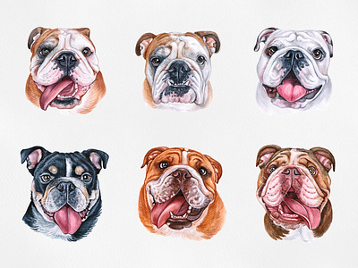 English bulldog animal cute dog dog illustration draw english bulldog funny illustration pes pet puppy watercolor watercolor art