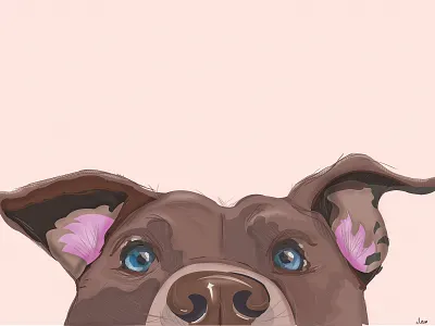 Adopt Dont Shop art design direction illustration interface