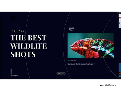 Wildlife Shot Animation animation app clean colors minimal photography typography ui uidesign uiux userinterface ux uxdesign visual design web website wildlife