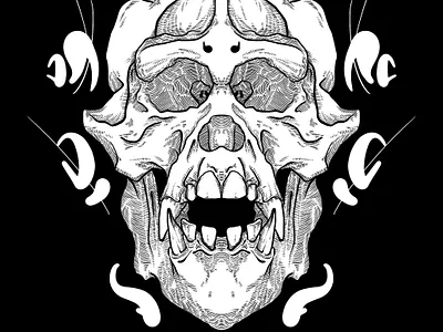 Pongo pygmaeus kranium illustration