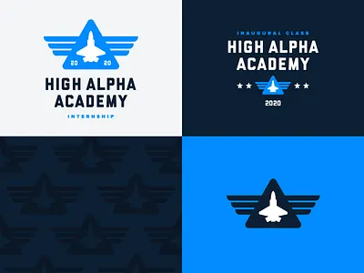 High Alpha Academy branding badge branding design logo pattern vector