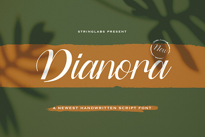 Dianora - Handwritten Font calligraphy casual classy elegant feminime handdrawn handlettering handwritten ligature logotype luxury modern signature stylish whimsical