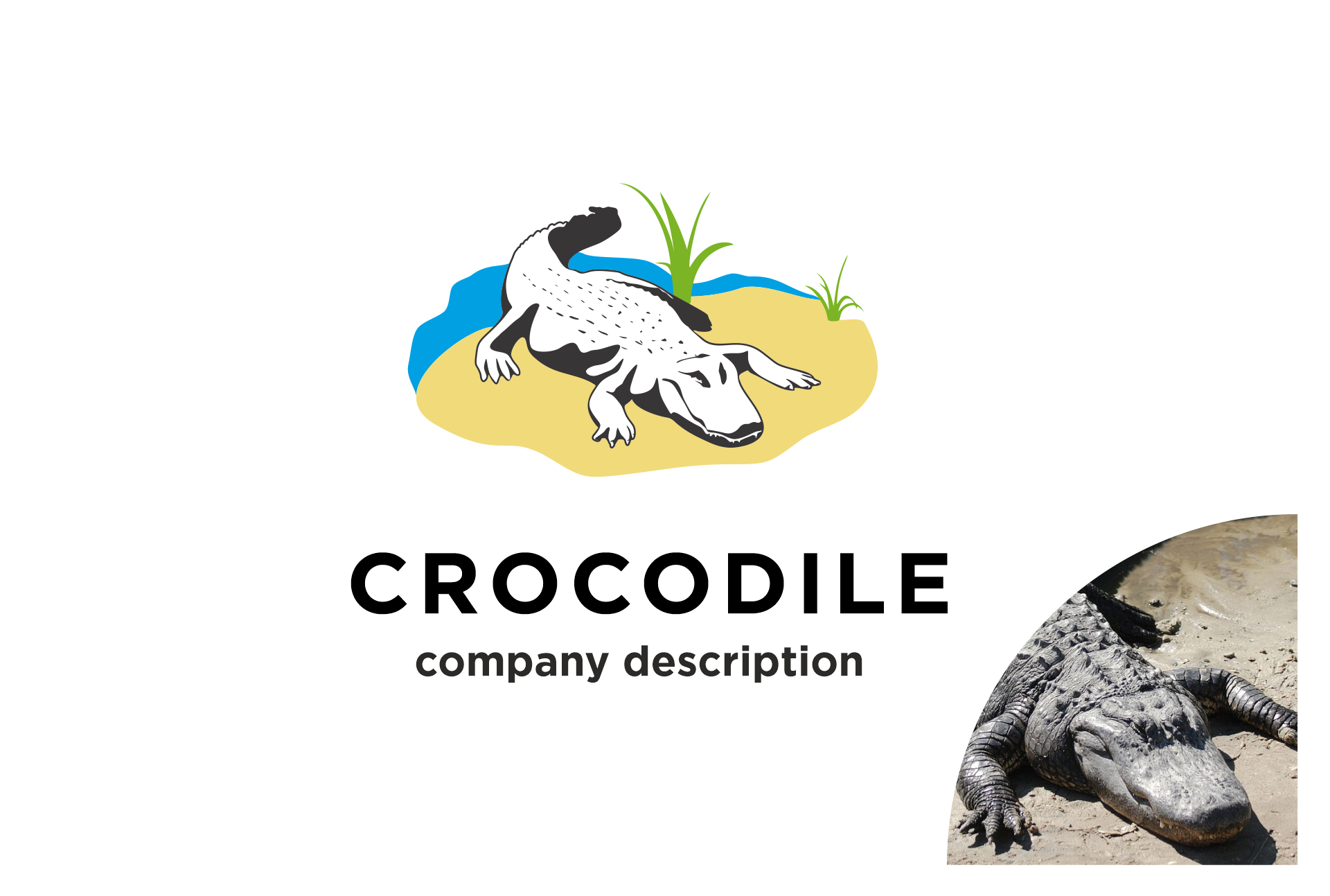 Example of Crocodile