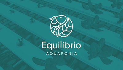 Equilibrio Aquaponia - Logo Design brandidentity branding fish leaf logo logo design logotype plant yinyang