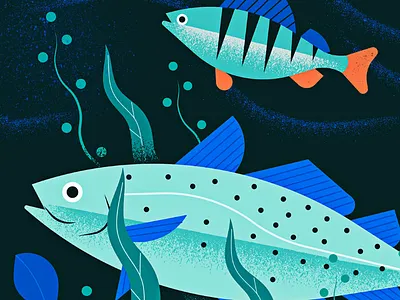 Baltic Sea baltic sea drawing fish illustration