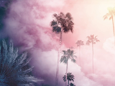 Sky, Meet Palms | Suncoast Series - EDIT ANIMATION animation art design digital digital art editing interaction interactiondesign palmtree photoedit photoediting photoeditor photographer photography photoshop pink series tutorial animation ui design user interface