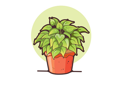 plant illustration plant vector