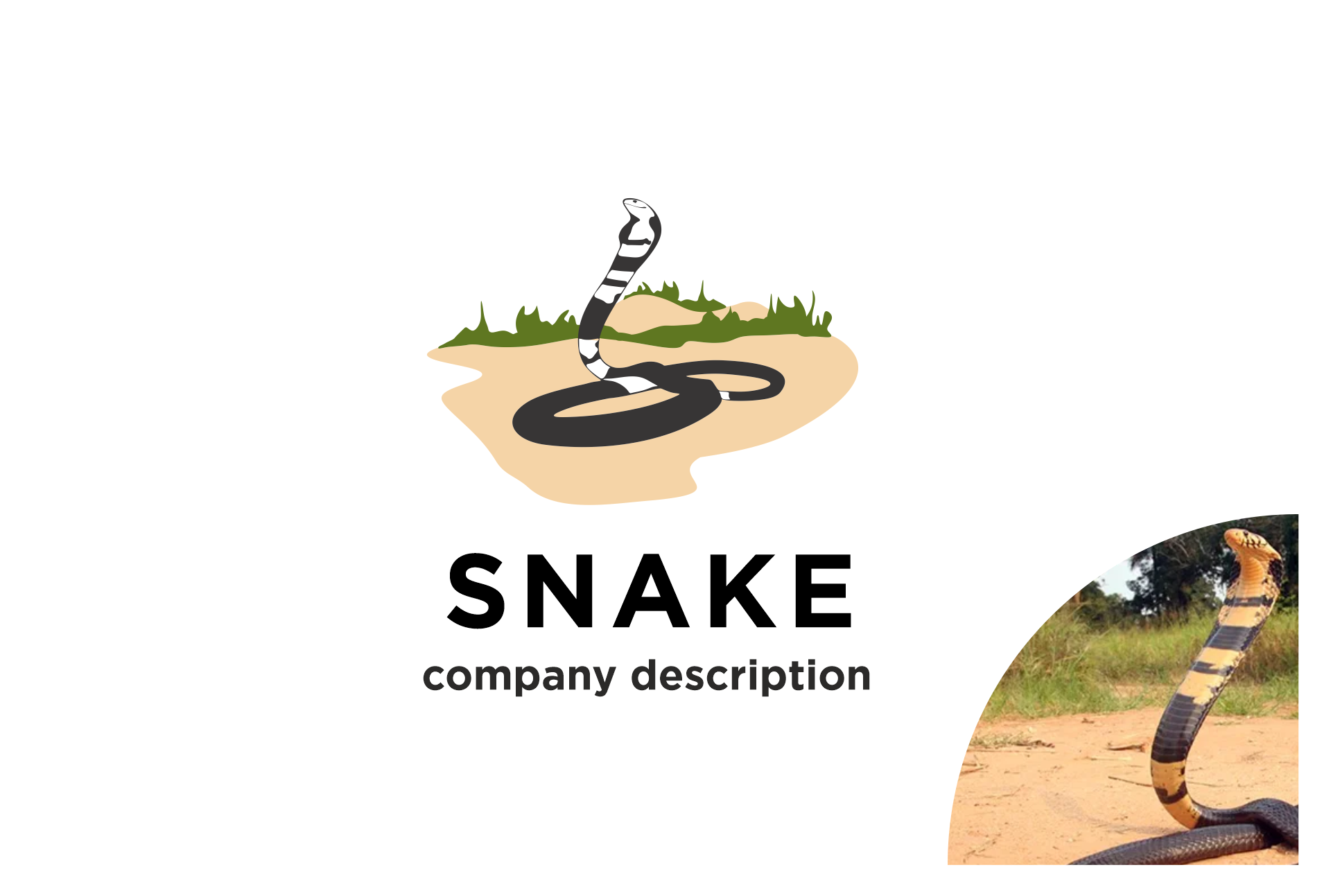 Example of Snake