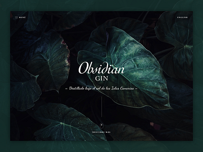 Obsidian Gin - Home gin home obsidian ui ux website website concept website design