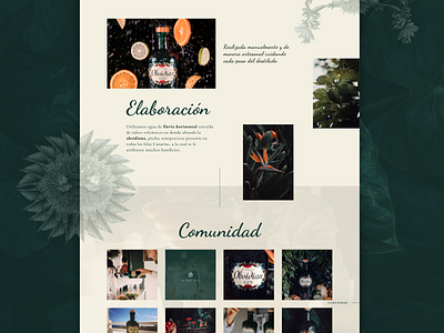 Obsidian Gin - Product / Social Media gin obsidian product page socialmedia ui ux website concept website design