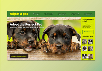 Homepage for a pet adoption company adoption application dog hannahwford ui ux ui web web design web designer website website design