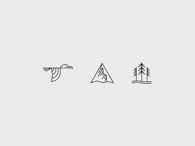 Washington State Icons bird flying bird icon icon set iconography icons line art mountain mountains nebraskadesigner pacific northwest pine tree pnw simple simple icon trees washington washington state water waves