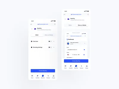 BlueReceipt: BluePay Mobile blue buy case study checkout design editor editor mobile editor responsive logo mobile pay product product page products responsive toggle ui ux