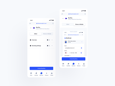 BlueReceipt: BluePay Mobile blue buy case study checkout design editor editor mobile editor responsive logo mobile pay product product page products responsive toggle ui ux