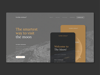 Landing airline app dailyui landing moon space ui uidesign web design website