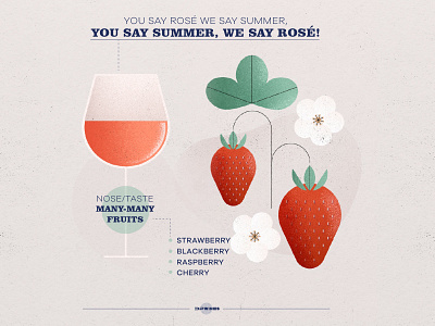 Rosé wine infographic acid art blackberry branding cherry design fruit illustration infographic infography photoshop raspberry rosé strawberry summer vector wine wine label winery