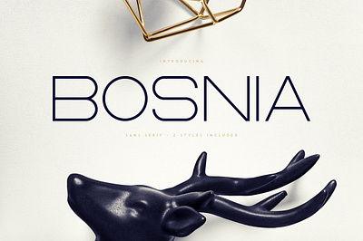 Bosnia - Sans Serif font | 2 styles elegant fonts font font design font family fonts fonts collection letter lettering letts modern fonts sans serif sans serif design sans serif font sans serif fonts sans serif typeface serif font serif fonts type typeface typography