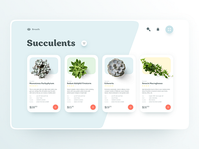 E-commerce UI concept card ecommerce plants shopping shopping basket shopping card shopping cart shopping website ui uidesign website
