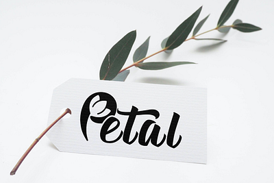 Logo Design design graphic graphic design logo typographic