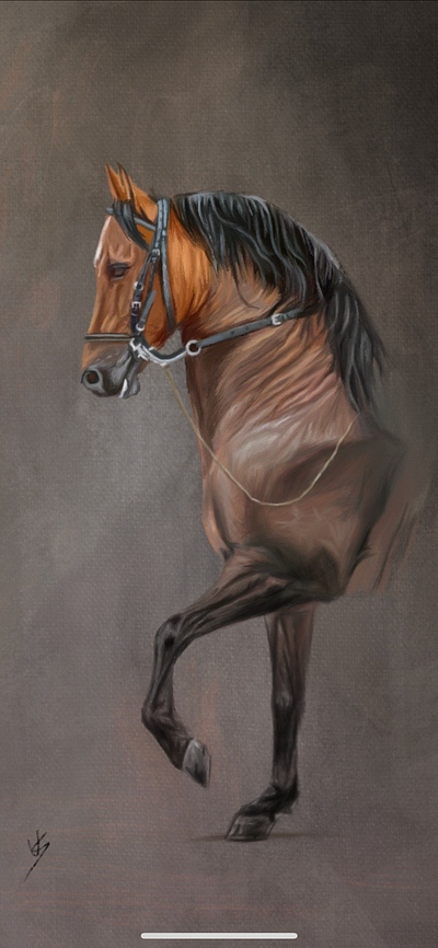 Digital Painting on iPad pro animal art digital painting illustration oil painting procreate