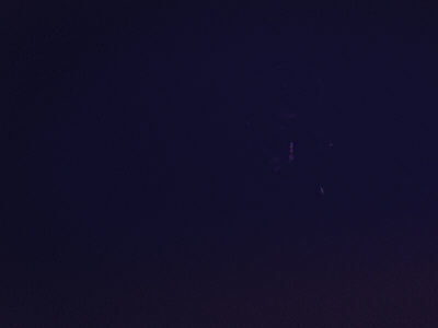 Adidas James Rodrigues 2danimation 3d aftereffects animation branding cheating design designmatters illustration kissing motion motiondesign motiongrapher motiongraphics noir relationship sexy staff pick sugarblood