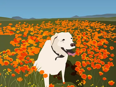 Poppies & Pups illustration travelillustration