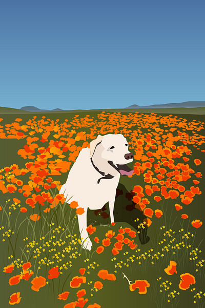 Poppies & Pups illustration travelillustration