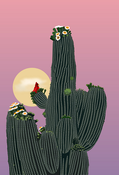 CardinalCacti illustration travelillustration