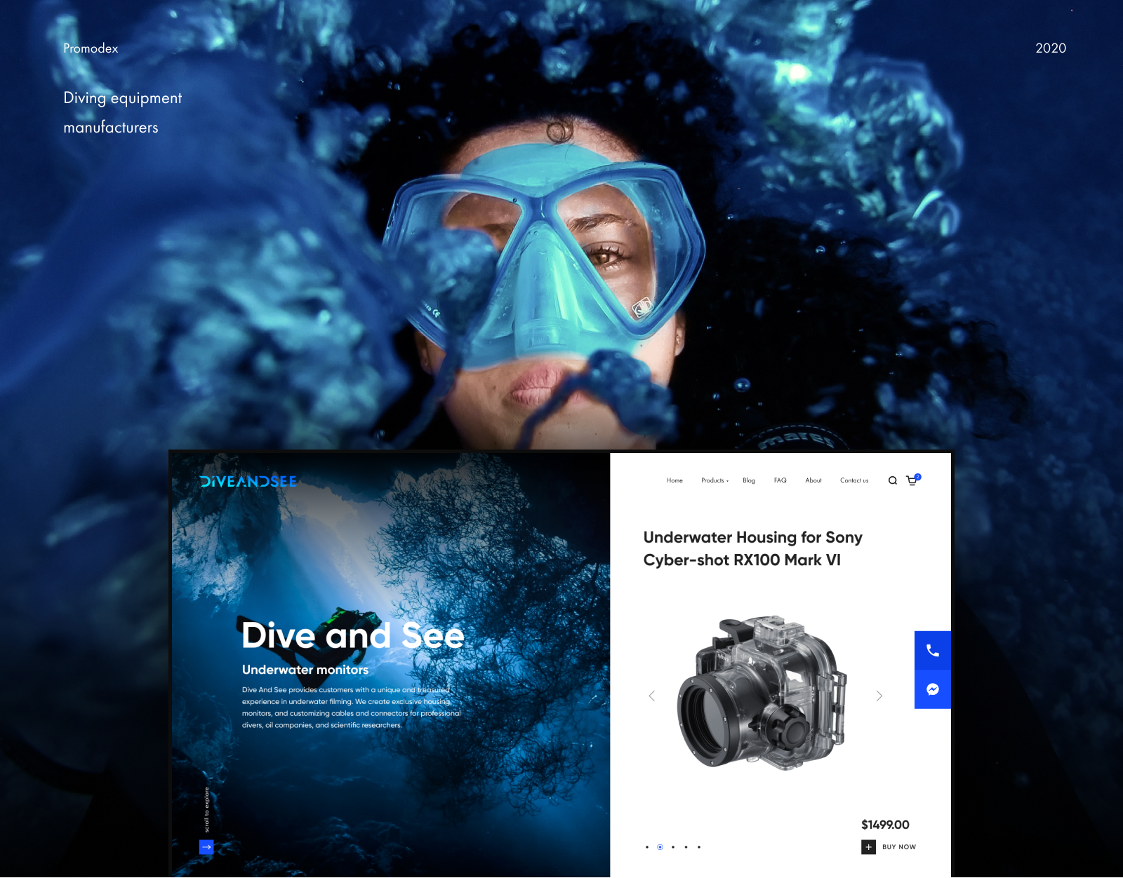 Dive and Sea branding creative design design unique design web design website