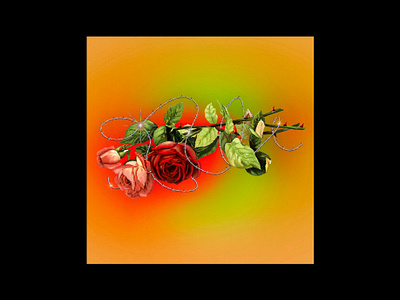 barbed rose acid beautiful collage design flowers glint gradients illustration love orange rose roses sparkle spikes surreal