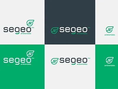 SEGEO_Logotype process branding design forms logo logos logotipo logotipos logotype typography
