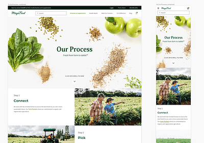 MegaFood - process page ecommerce design health interface nature organic shop ui uiux ux web web design website