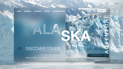 Alaska Homepage re-design concept design designer inspiration ui ui ux ui design uidesign uiux ux ux ui ux design uxdesign uxui web design web designer webdesign website