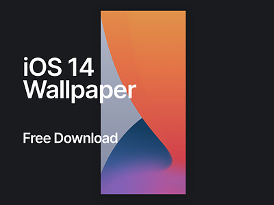 iOS 14 Wallpaper Shot apple design illustration ios 14 iphone 11 wallpaper iphone 11 wallpaper ui ux