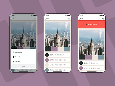 Palette Cam Interactions app design illustration interaction ios pulldown share ui ux