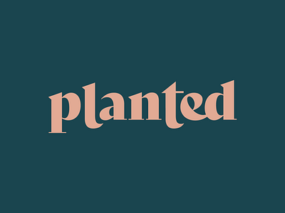 Planted Logo branding customized font design font graphicdesign logo minimal site plant planted planting simple type type logo typography vector