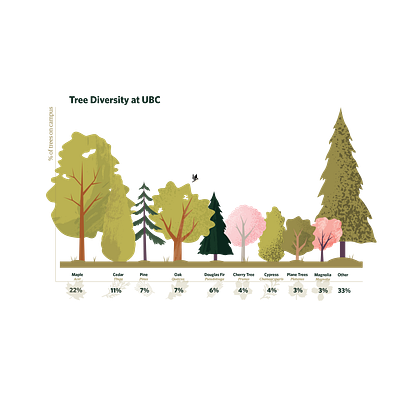 Forestry Infographic forest illustration infographic trees vector