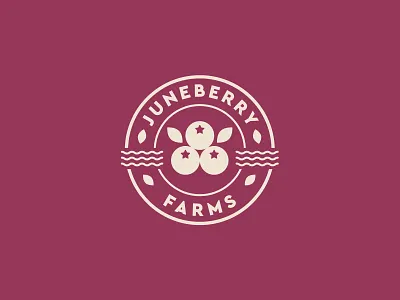 Juneberry Farms - Part2 badges berry brand branding farm graphic design identity illustration jay master design juneberry logo north carolina packaging print typography