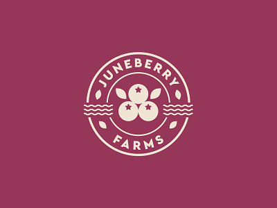 Juneberry Farms - Part2 badges berry brand branding farm graphic design identity illustration jay master design juneberry logo north carolina packaging print typography