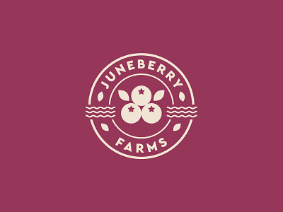 Juneberry Farms - Part2 badges berry brand branding farm graphic design identity illustration jay master design juneberry logo north carolina packaging print typography