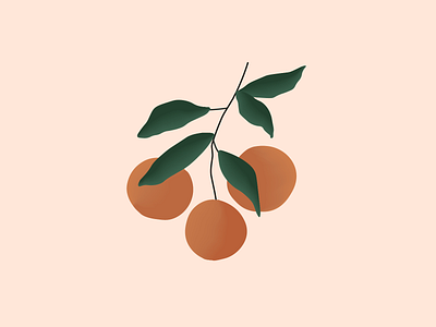 Oranges abstract adobe adobe illustrator aesthetic aesthetics design illustration leaf leaves orange oranges peach plants