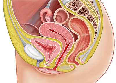 Medical book illustration illustration